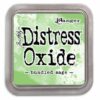Ranger Distress Oxide - bundled sage TDO55853 Tim Holtz