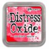 Ranger Distress Oxide - candied apple TDO55860 Tim Holtz
