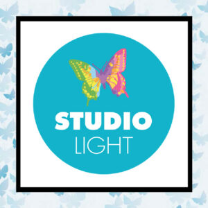 Studio Light Dies