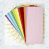 Picket Fence Studios Slim Line Envelopes 4.125 x 9.5 Inch Rainbow (EN-100)