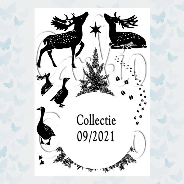 Card-io Clear Stamps Evergreen Encounter