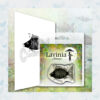 Lavinia Clear Stamp Flo LAV620