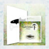 Lavinia Clear Stamp Mini Fish LAV633