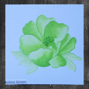Atelier Goddess Green - Artist Grade Fusion Ink Pad