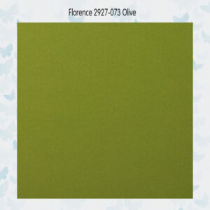 Florence Cardstock Glad Olive 2927-073