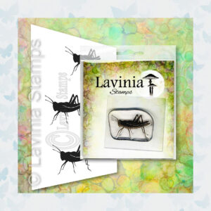Lavinia Clear Stamp Jiminy LAV661