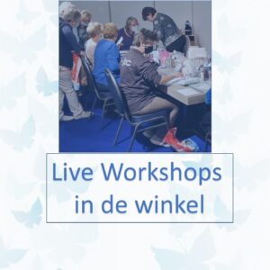Live Workshop Volgen