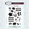 Creative Expressions Clear Stamps Set Layered Watercolour Blooms CEC892