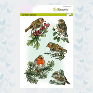 CraftEmotions Clearstempels A5 - Vogels i/d Winter 130501/3031