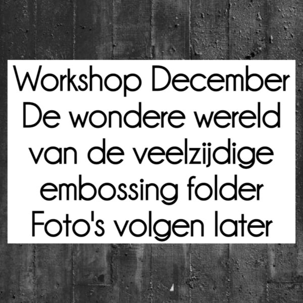 Live Workshop De Wondere Wereld van Embossing Folders op DINSDAG OCHTEND 13 December