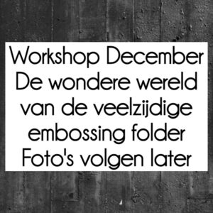 Live Workshop De Wondere Wereld van Embossing Folders op ZATERDAG OCHTEND 17 December