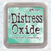 Ranger Distress Oxide - Cracked Pistachio TDO55891 Tim Holtz