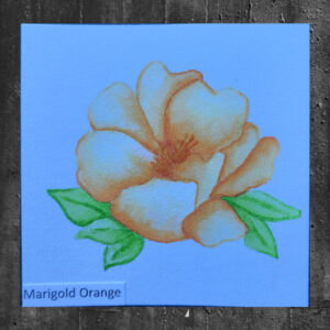Atelier Marigold Orange - Artist Grade Fusion Ink Mini Cube