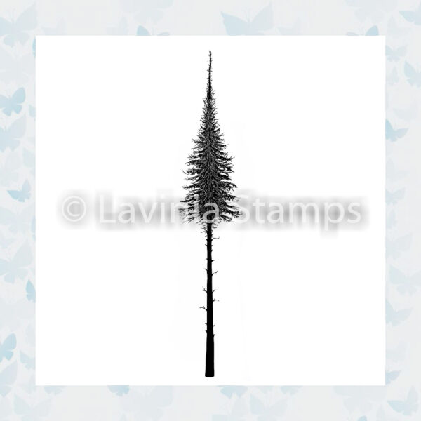 Lavinia Clear Stamp Fairy Fir Tree Small LAV489s
