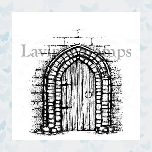 Lavinia Clear Stamp Hide and Seek LAV272