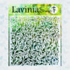 Lavinia Stencils Dynamic ST031