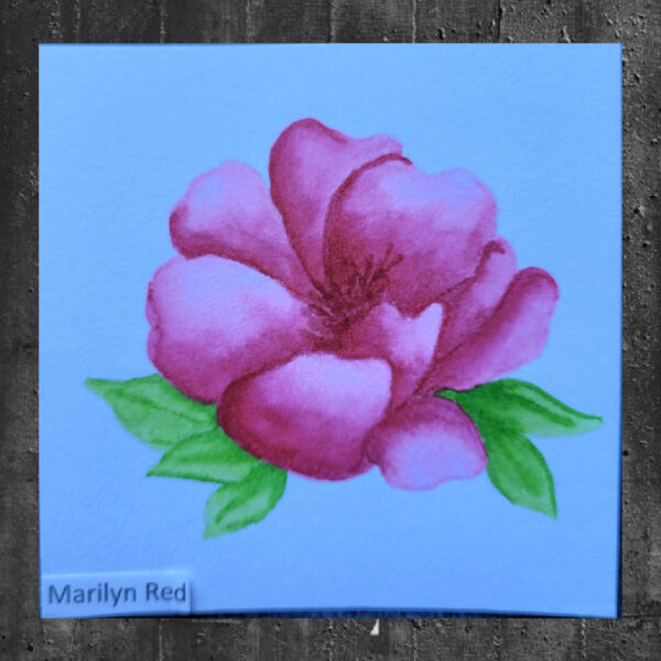 Atelier Marilyn Red - Artist Grade Fusion Ink Pad