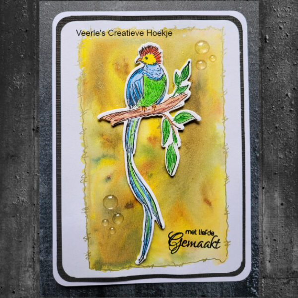Nelies Choice Snijmal en stempel Set Exotische Vogels Quetzal HDCS024