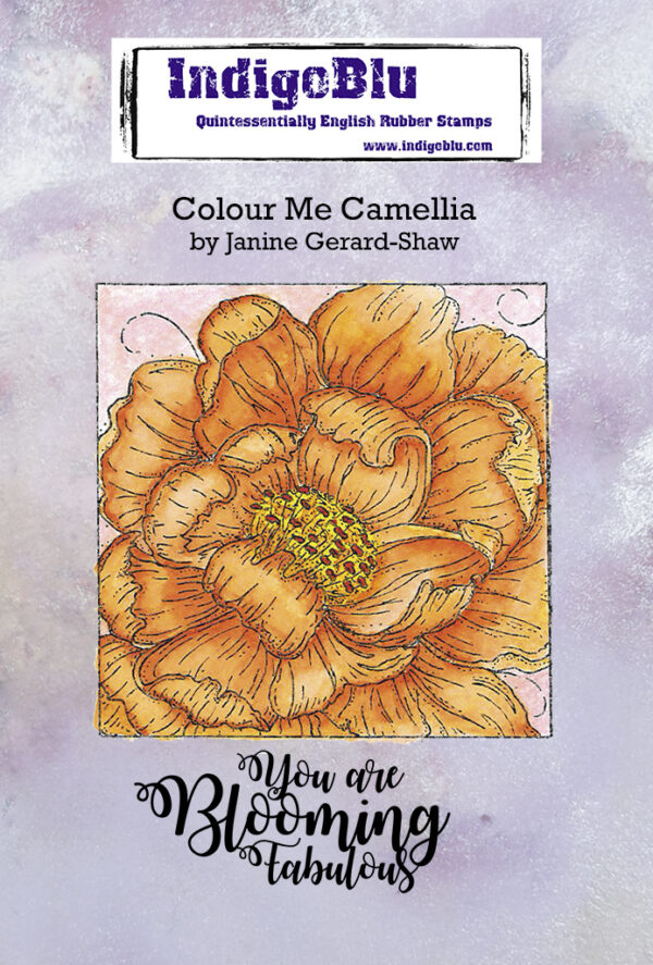 IndigoBlu Colour Me Camellia IND0748