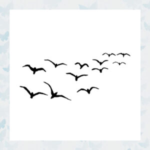 Lavinia Clear Stamp Birds LAV097