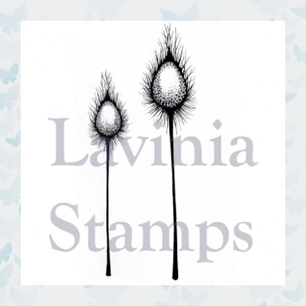 Lavinia Clear Stamp Dragon Pods LAV374