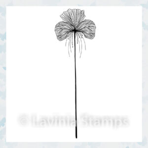 Lavinia Clear Stamp Single Fairy Orchid LAV548