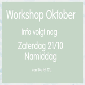 Live Workshop zaterdag 21 oktober NAMIDDAG