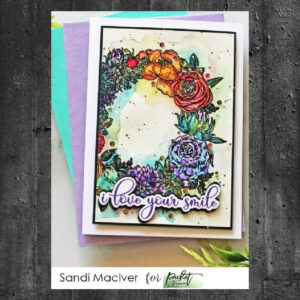 Picket Fence Studios Fancy Daily Sentiments Clear Stamps (S-180)