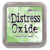Ranger Distress Oxide - Bundled Sage TDO55853 Tim Holtz