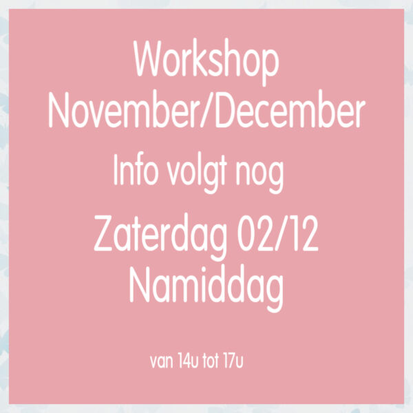 Live Workshop November/December zaterdag 2 december NAMIDDAG