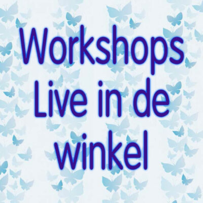 Live Workshop Volgen