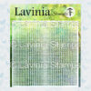 Lavinia Stencil Cryptic Small ST041