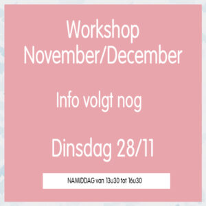 Live Workshop November/December dinsdag 28 november NAMIDDAG