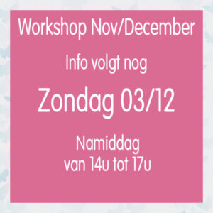 Live Workshop November/December Zondag 03 december NAMIDDAG