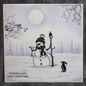 Card-io Clear Stamp Set A6 Home for the Winter CCSTHOM-02