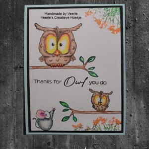 CraftEmotions Clearstamps A6 - Owls 2 Carla Creaties 130501/1579