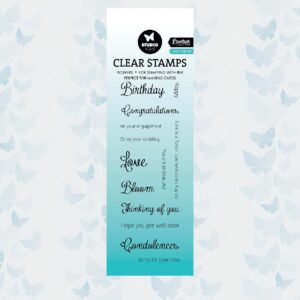 Studio Light Clear Stamp Sentiments Essentials nr.589 SL-ES-STAMP589