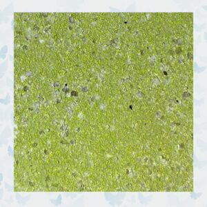 Wow! Embossing Poeder - Lime Crush WL68R