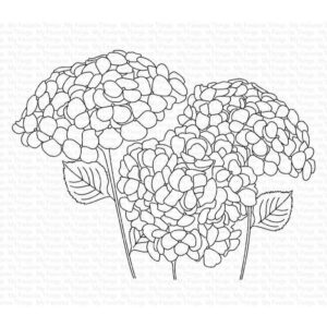 Hydrangeas in Bloom Clear Stamps (CS-459)